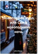 Новогоднее чудо, или Сон в новогоднюю ночь