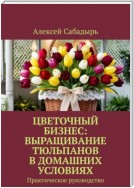 Цветочный бизнес: выращивание тюльпанов в домашних условиях. Практическое руководство