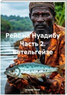 Рейс на Нуадибу Часть 2. Бетельгейзе