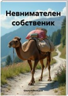 Невнимателен собственик