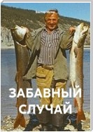 ЗАБАВНЫЙ СЛУЧАЙ