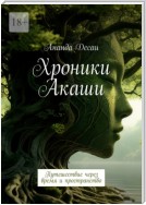 Хроники Акаши. Путешествие через время и пространство