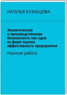 Экологическая и производственная безопасность как одна из форм оценки эффективности предприятия. Научная работа