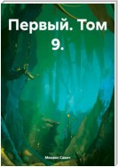 Первый. Том 9.