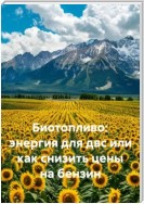 Биотопливо: энергия для двс или как снизить цены на бензин