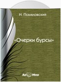 Очерки бурсы