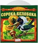 Сорока-белобока