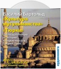 Культура мусульманства и Тюрки