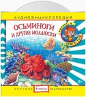 Осьминоги и другие моллюски