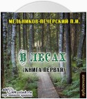 В лесах (часть первая)