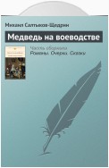 Медведь на воеводстве