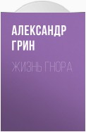 Жизнь Гнора