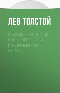 О душе и жизни ее вне известной и понятной нам жизни