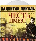 Честь имею. Часть 3. При исполнении долга