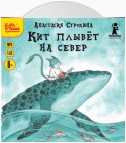 Кит плывет на север