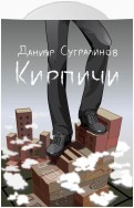 Кирпичи