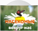 Мадагаскарский таракан: чудовище или домашний любимец?