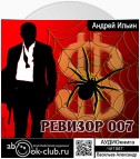 Ревизор 007