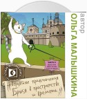 Книга 5. Брысь, или один за всех и все за одного