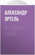 От одного корня