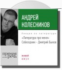 Литература про меня. Андрей Колесников