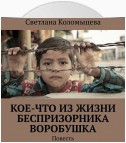 Кое-что из жизни беспризорника Воробушка. Повесть