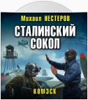 Сталинский сокол. Комэск