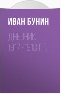 Дневник 1917–1918 гг.