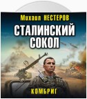 Сталинский сокол. Комбриг