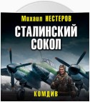 Сталинский сокол. Комдив