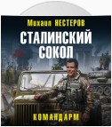 Сталинский сокол. Командарм