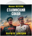 Сталинский сокол. Маршал авиации