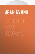 Солнечный удар (сборник)