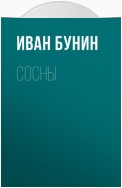 Сосны