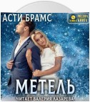 Метель