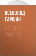 Attalea princeps