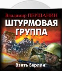 Штурмовая группа. Взять Берлин!