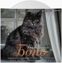 Боно. Удивительная история спасенного кота, вдохновившего общество