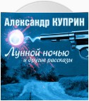 Лунной ночью и другие рассказы