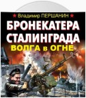 Бронекатера Сталинграда. Волга в огне