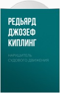 Нарушитель судового движения