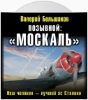 Позывной: «Москаль». Наш человек – лучший ас Сталина