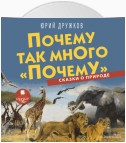 Почему так много «почему». Сказки о природе