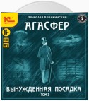 Агасфер. Вынужденная посадка. Том I