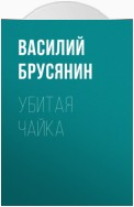 Убитая чайка