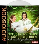 Тридцать четыре Ёжки для Кощея. В погоне за женихом. Книга третья