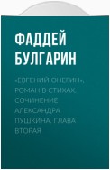 «Евгений Онегин», роман в стихах. Сочинение Александра Пушкина. Глава вторая