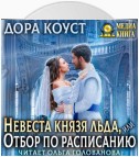 Невеста Князя Льда, или Отбор по расписанию