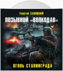 Позывной «Волкодав». Огонь Сталинграда