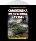 Самоходка по прозвищу «Сука». Прямой наводкой по врагу!